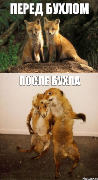 Перед бухлом После бухла