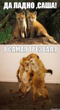 Да ладно ,Саша! Я самая трезвая:P