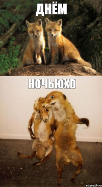 Днём НочьюXD