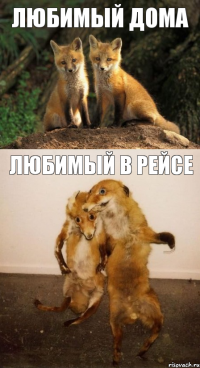 любимый дома любимый в рейсе