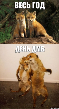 весь год день дмб