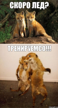 скоро лед? тренируемсо!!!