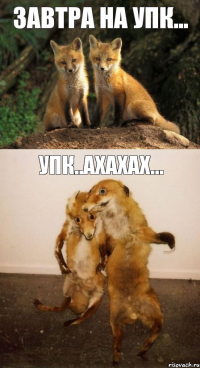 Завтра на УПК... УПК..ахахах...