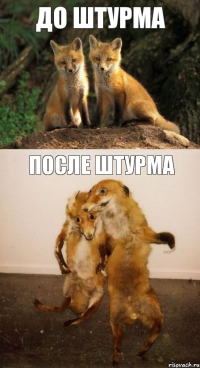 До штурма после штурма