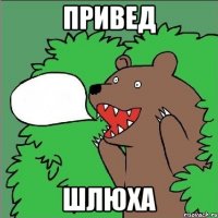 привед шлюха