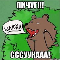 пичуг!!! сссуукааа!