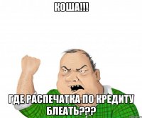 коша!!! где распечатка по кредиту блеать???