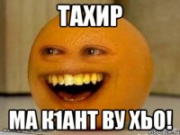 тахир ма к1ант ву хьо!