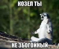 козел ты не збогойный