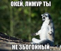 окей, лимур ты не збогойный