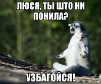 люся, ты што ни понила? узбагойся!