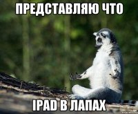 представляю что ipad в лапах