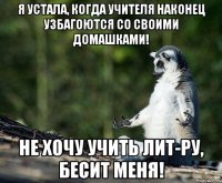 я устала, когда учителя наконец узбагоются со своими домашками! не хочу учить лит-ру, бесит меня!