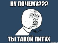 ну почему??? ты такой питух