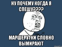 ну почему когда я спешу??? маршерутки словно вымирают