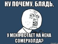 ну почему, блядь, у меня встает на йена сомерхолда?