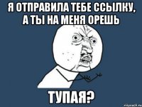 я отправила тебе ссылку, а ты на меня орешь тупая?