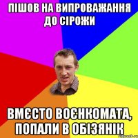 пішов на випроважання до сірожи вмєсто воєнкомата, попали в обізянік