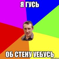 я гусь об стену уебусь