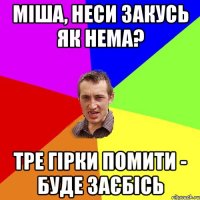 міша, неси закусь як нема? тре гірки помити - буде заєбісь