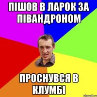 пішов в ларок за півандроном проснувся в клумбі