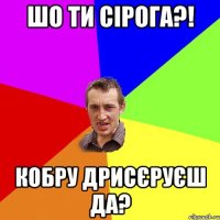 шо ти сірога?! кобру дрисєруєш да?