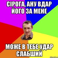 сірога, ану вдар його за мене може в тебе удар слабший