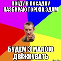 поїду в посадку назбираю горіхів,здам будем з малою двїжкувать