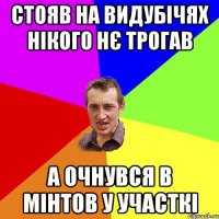 стояв на видубічях нікого нє трогав а очнувся в мінтов у участкі