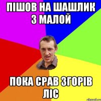 пішов на шашлик з малой пока срав згорів ліс