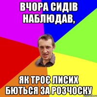 вчора сидів наблюдав, як троє лисих бються за розчоску