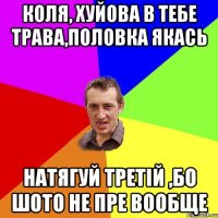 коля, хуйова в тебе трава,половка якась натягуй третій ,бо шото не пре вообще