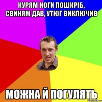 курям ноги пошкріб, свиням дав, утюг виключив можна й погулять