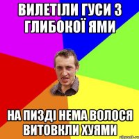 вилетіли гуси з глибокої ями на пизді нема волося витовкли хуями