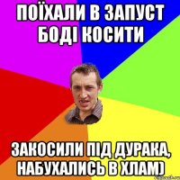 поїхали в запуст боді косити закосили під дурака, набухались в хлам)