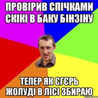 провірив спічками скікі в баку бінзіну тепер як єгєрь жолуді в лісі збираю