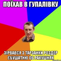 поїхав в гупалiвку зiрвався з тарзанки роздер єбушатню об ракушняк