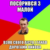 посорився з малой взяв свого аіста і ганав дорогами кийова