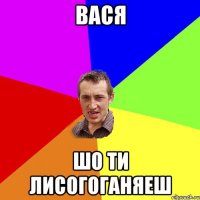 вася шо ти лисогоганяеш