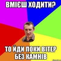 вмієш ходити? то йди поки вітер без камнів