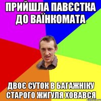 прийшла павєстка до ваїнкомата двоє суток в багажніку старого жигуля ховався