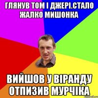 глянув том i джерi.стало жалко мишонка вийшов у вiранду отпизив мурчiка