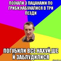 поїхали з пацанами по гриби,набухалися в три пезди погубили все нахуй,ше й заблудилися