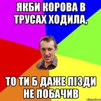 якби корова в трусах ходила, то ти б даже пізди не побачив