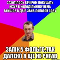 захотiлось вечiром покушать нiхуя в холодiльнику нема вийшов в двiр збив лопатой сову запiк у фольгє.так далеко я ще не ригав