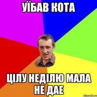 уїбав кота цілу неділю мала не дае