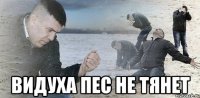  видуха пес не тянет