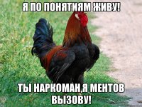 я по понятиям живу! ты наркоман,я ментов вызову!