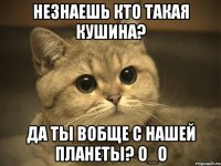 незнаешь кто такая кушина? да ты вобще с нашей планеты? о_о