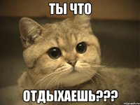 ты что отдыхаешь???